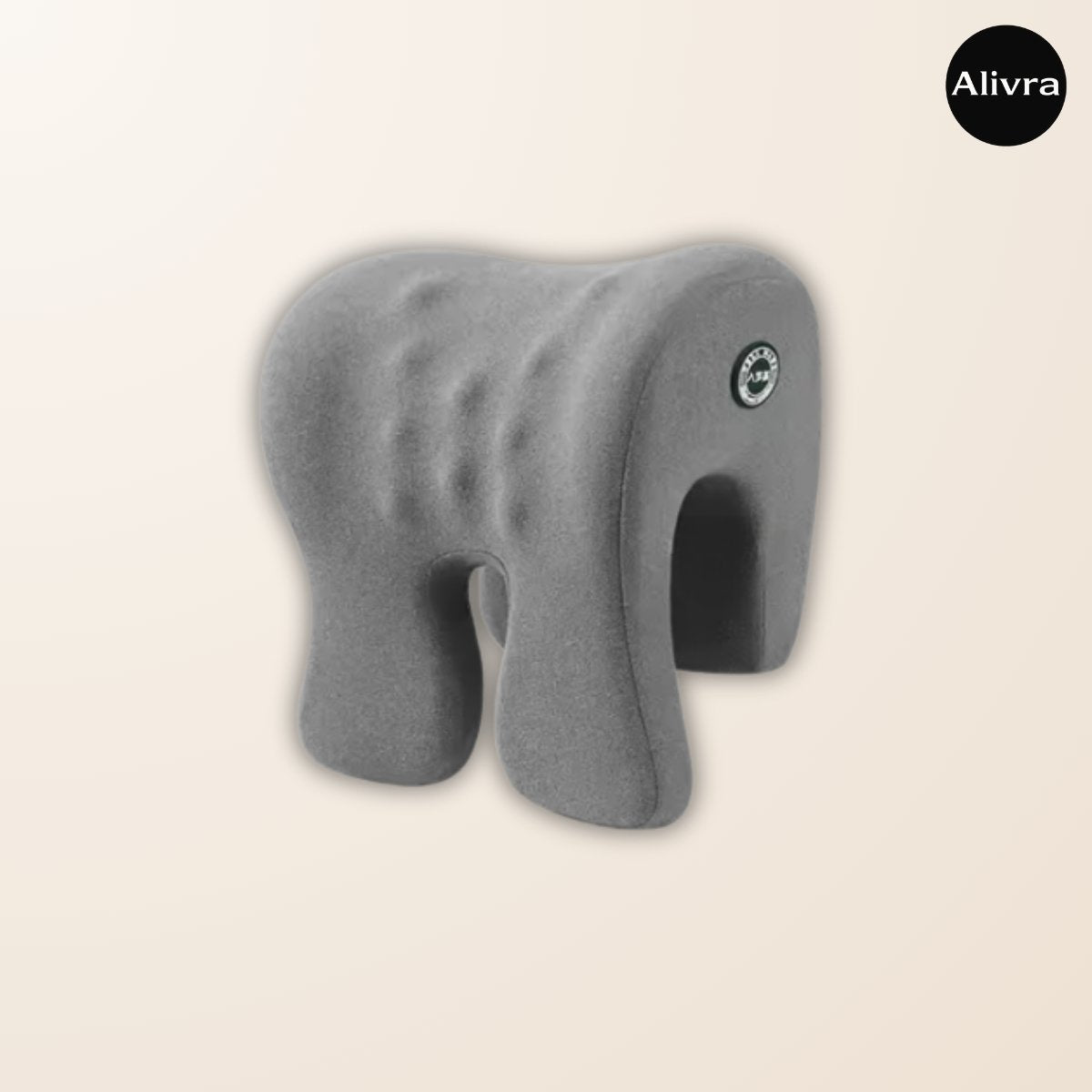 Alivra™ Multifunction Memory Foam Head Pillow