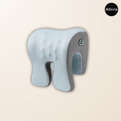 Alivra™ Multifunction Memory Foam Head Pillow